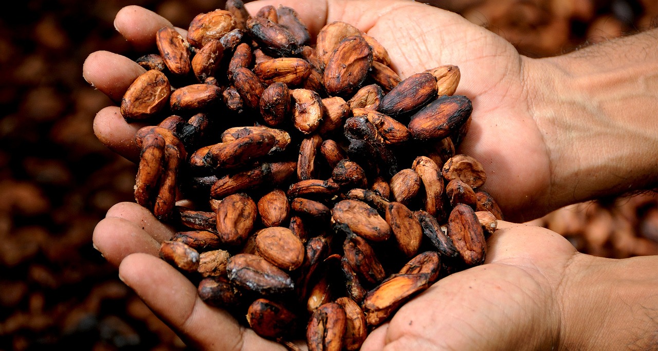 Cocoa Testing and Inspection Services