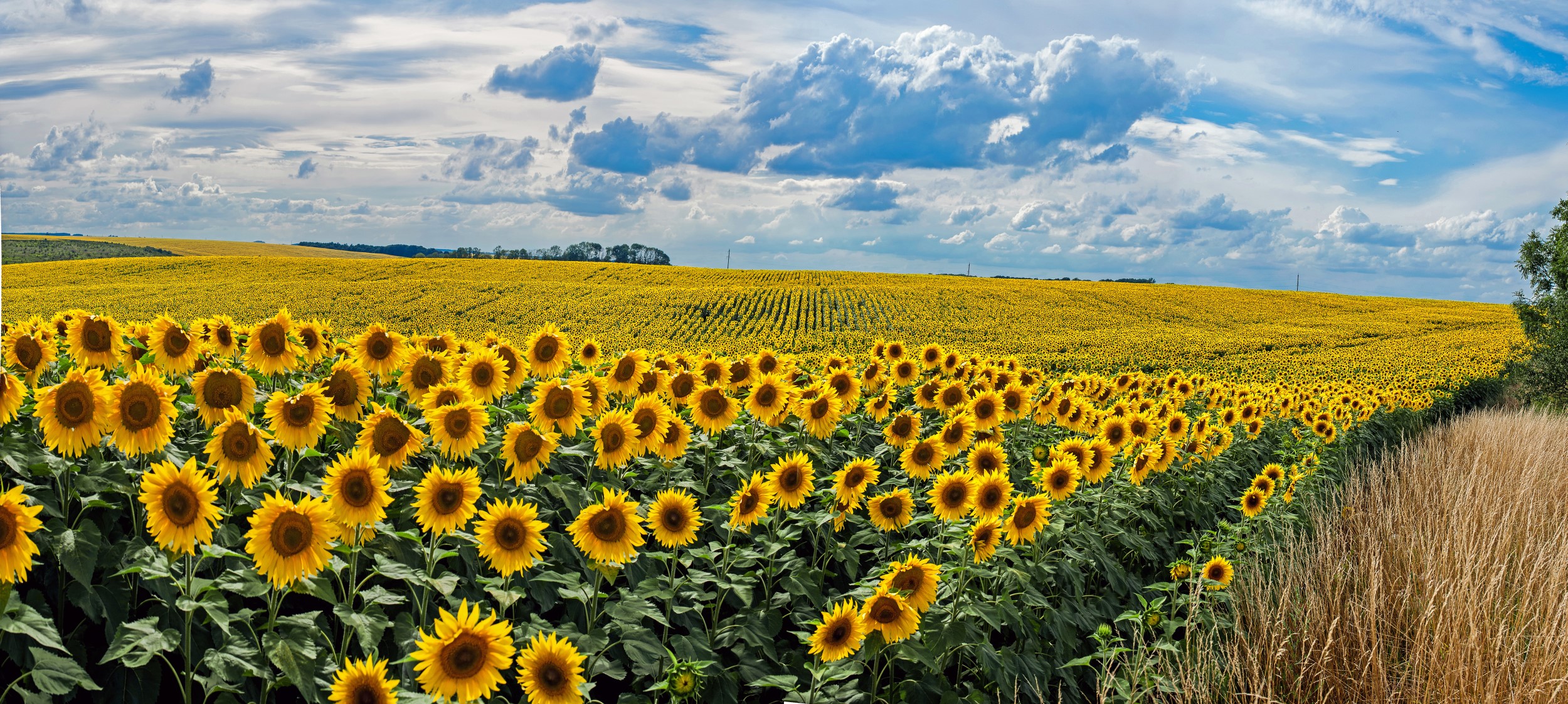 AdobeStock_166750260